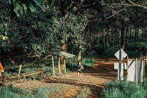 BIB: 
                            <button type="button" onclick="openModal(25651986)" class="btn btn-primary btn-sm float-right btn-popup" data-toggle="modal" data-target=".modal-high-quality">
                        <i class="fas fa-shopping-cart"></i> Add to Cart
                    </button>
                                            <button type="button" onclick="isThisMe(25651986, true)" class="btn btn-success btn-sm float-right btn-popup btn-isme hidden" data-toggle="tooltip" data-placement="bottom" title="นี่คือรูปของคุณใช่ไหม คลิกที่นี่เพื่อเอาเข้าอัลบั้ม">
                        <i class="fas fa-plus"></i> Add to album
                    </button>
                    <button type="button" onclick="isThisMe(25651986, false)" class="btn btn-warning btn-sm float-right btn-popup btn-isnotme hidden">
                        <i class="fas fa-ban"></i> Remove from album
                    </button>